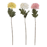 Imagen anterior del producto