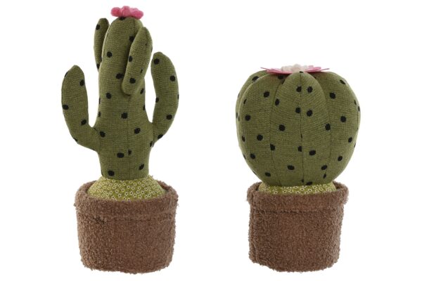 SUJETA PUERTAS CACTUS